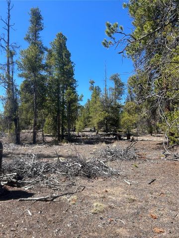 266 Ponderosa Drive, Leadville, CO 80461