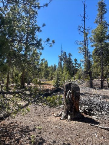 266 Ponderosa Drive, Leadville, CO 80461