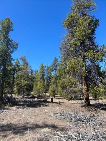 266 Ponderosa Drive, Leadville, CO 80461