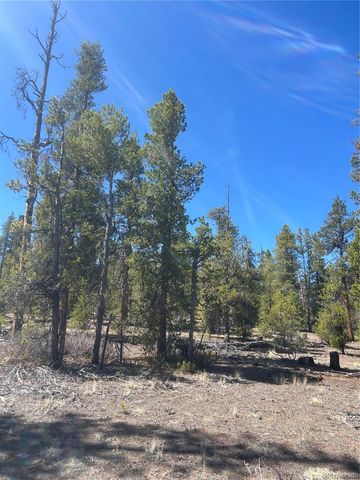 266 Ponderosa Drive, Leadville, CO 80461