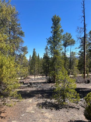 266 Ponderosa Drive, Leadville, CO 80461