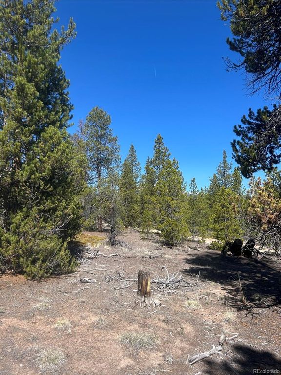 266 Ponderosa Drive, Leadville, CO 80461