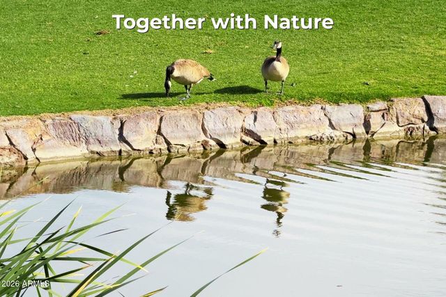 8840 S 51ST Street 1, Phoenix, AZ 85044