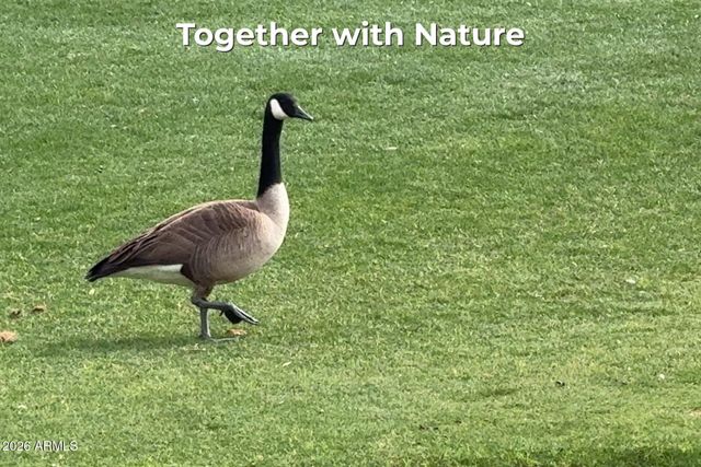 8840 S 51ST Street 1, Phoenix, AZ 85044