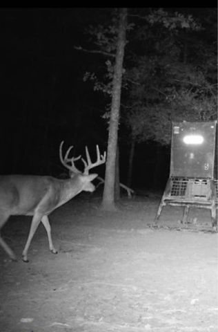 267 Private Road 6294, Palestine, TX 75801