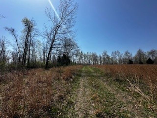 664 S Tunnel Road, Gallatin, TN 37066