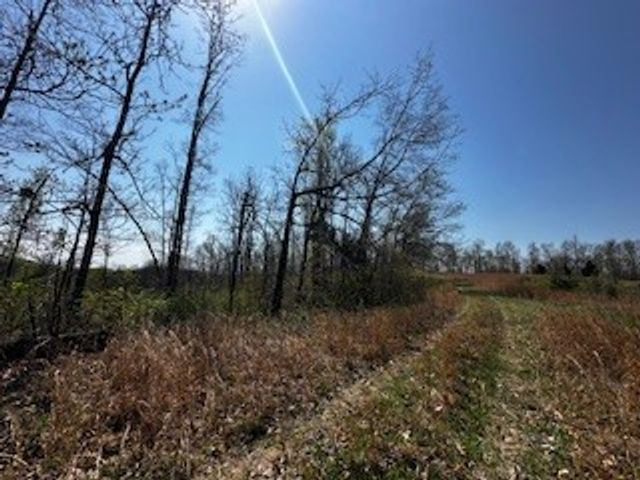 664 S Tunnel Road, Gallatin, TN 37066