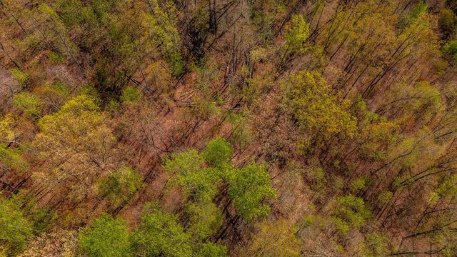 664 S Tunnel Road, Gallatin, TN 37066