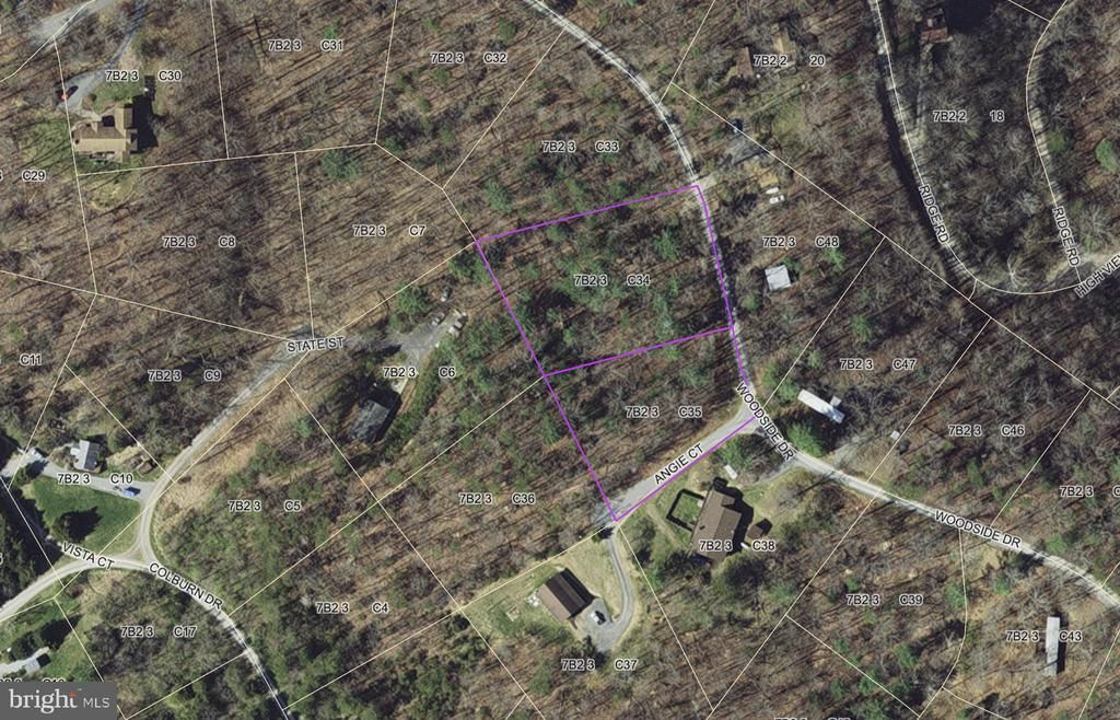 WOODSIDE DR, Rileyville, VA 22650