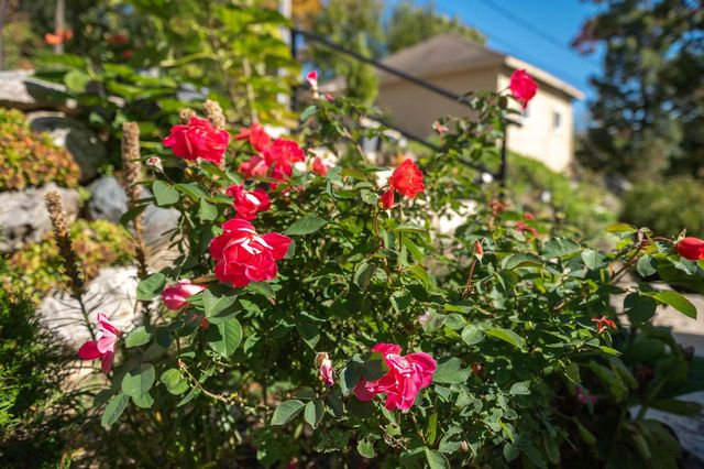 N39W27485 Hillside Grove ROAD, Pewaukee, WI 53072