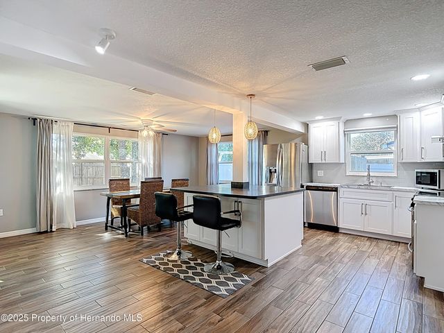 4077 Ramona Drive, Spring Hill, FL 34606