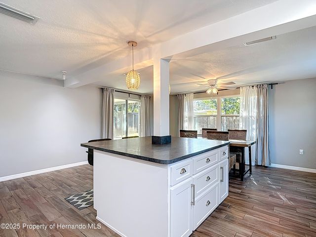 4077 Ramona Drive, Spring Hill, FL 34606