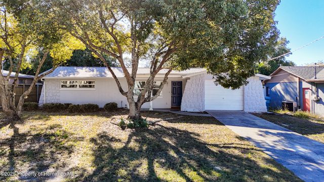 4077 Ramona Drive, Spring Hill, FL 34606