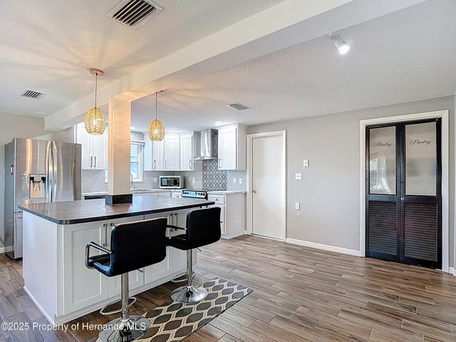 4077 Ramona Drive, Spring Hill, FL 34606