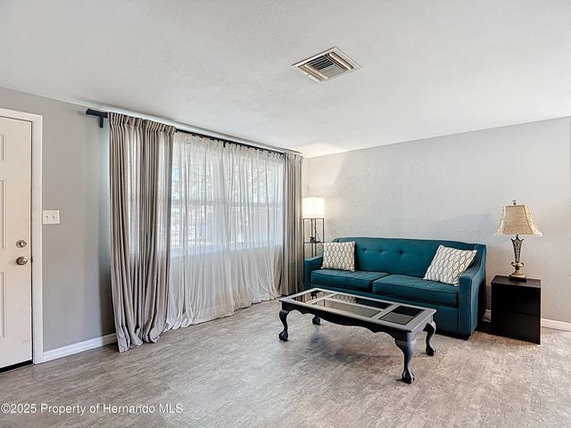 4077 Ramona Drive, Spring Hill, FL 34606