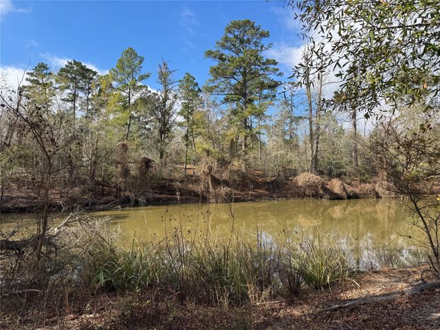 55 Lake Road, Riverside, TX 77320