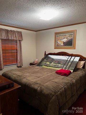 70 Pastoral Way, Hendersonville, NC 28739