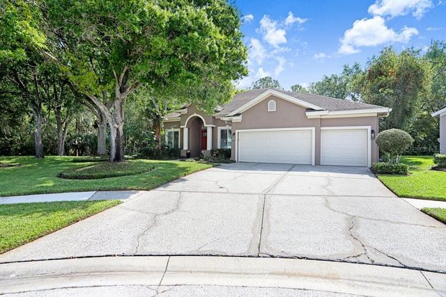 10201 MILLPORT DRIVE, Tampa, FL 33626