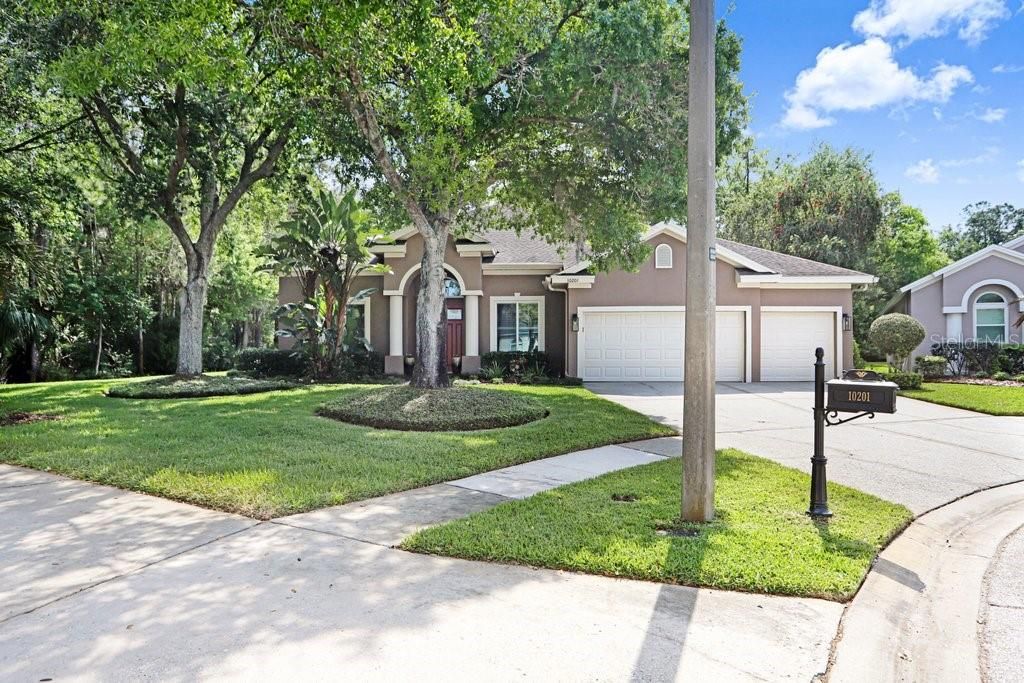 Image 5 of property listing at 10201 MILLPORT DRIVE, Tampa, FL 33626