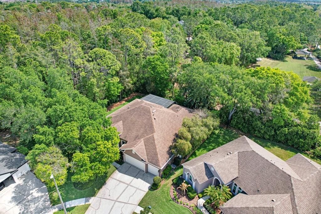 Image 54 of property listing at 10201 MILLPORT DRIVE, Tampa, FL 33626