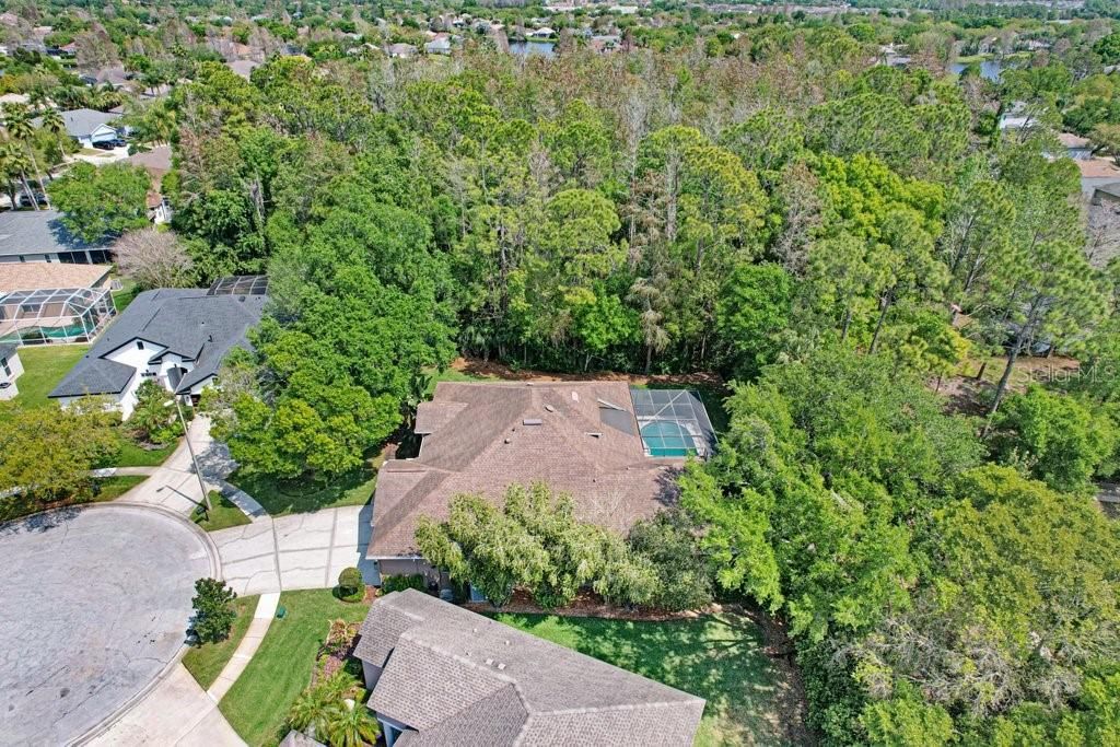 Image 55 of property listing at 10201 MILLPORT DRIVE, Tampa, FL 33626