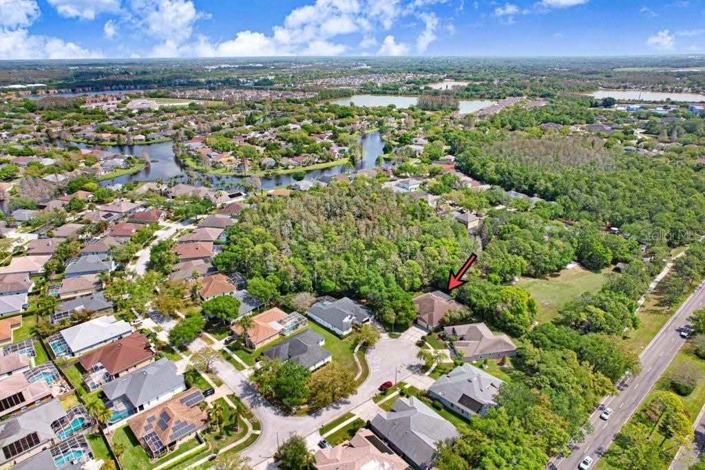 Image 56 of property listing at 10201 MILLPORT DRIVE, Tampa, FL 33626