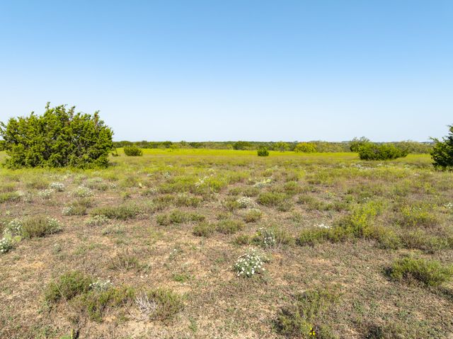 TBD Pr 16028, Jonesboro, TX 76538