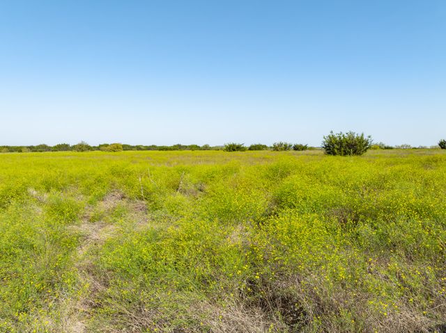 TBD Pr 16028, Jonesboro, TX 76538