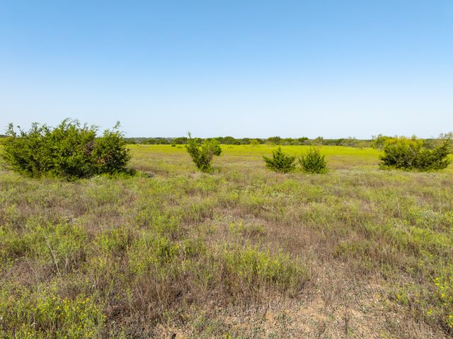 TBD Pr 16028, Jonesboro, TX 76538
