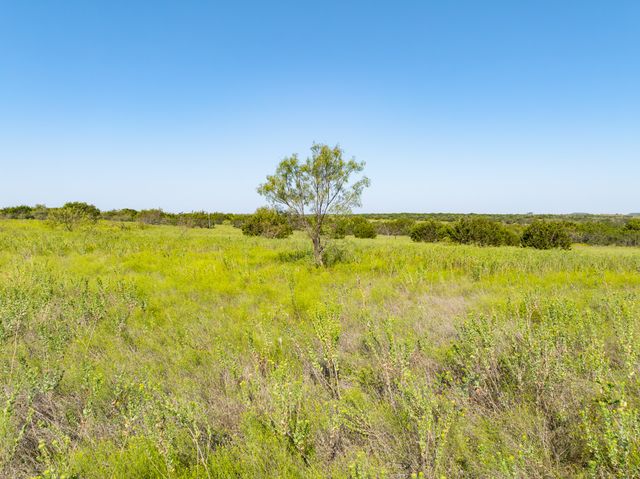 TBD Pr 16028, Jonesboro, TX 76538