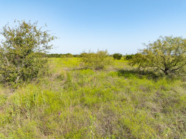 TBD Pr 16028, Jonesboro, TX 76538