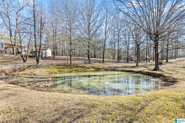 12535 TEDDY DRIVE, Mccalla, AL 35111