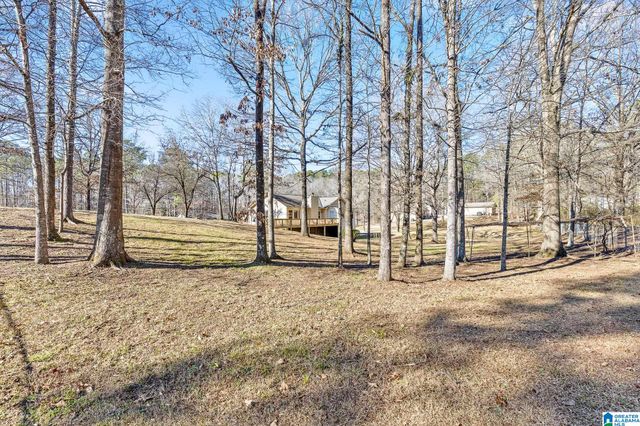 12535 TEDDY DRIVE, Mccalla, AL 35111