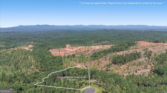 0 Lacey Springs Lane 64, Ellijay, GA 30540