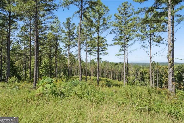 0 Lacey Springs Lane 64, Ellijay, GA 30540