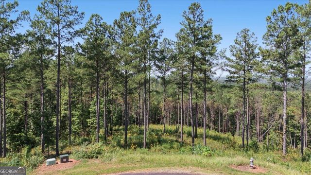 0 Lacey Springs Lane 64, Ellijay, GA 30540