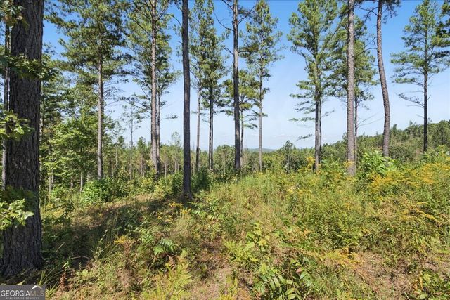 0 Lacey Springs Lane 64, Ellijay, GA 30540