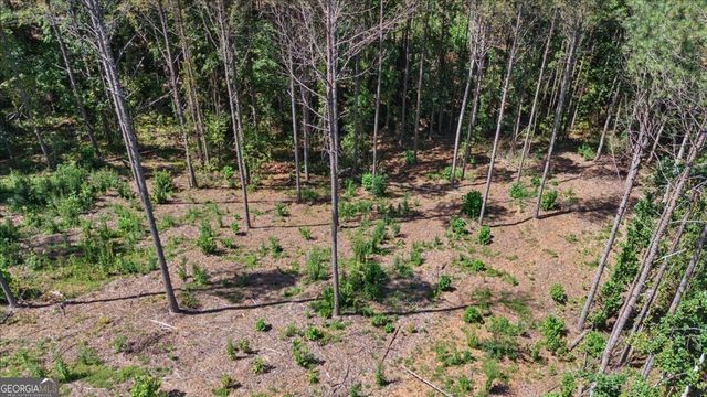 0 Lacey Springs Lane 64, Ellijay, GA 30540