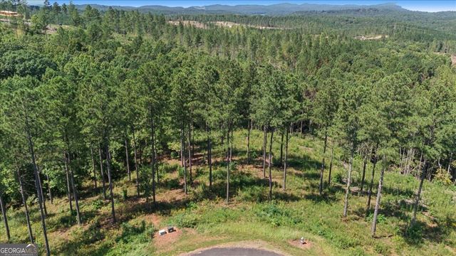 0 Lacey Springs Lane 64, Ellijay, GA 30540