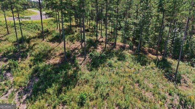 0 Lacey Springs Lane 64, Ellijay, GA 30540