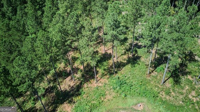 0 Lacey Springs Lane 64, Ellijay, GA 30540