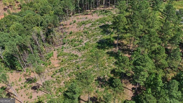 0 Lacey Springs Lane 64, Ellijay, GA 30540