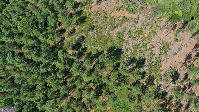 0 Lacey Springs Lane 64, Ellijay, GA 30540