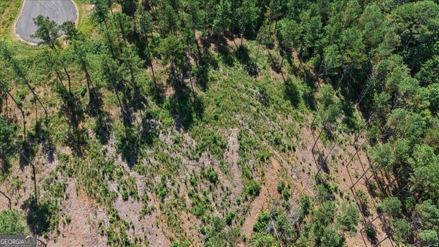 0 Lacey Springs Lane 64, Ellijay, GA 30540