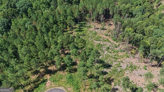 0 Lacey Springs Lane 64, Ellijay, GA 30540