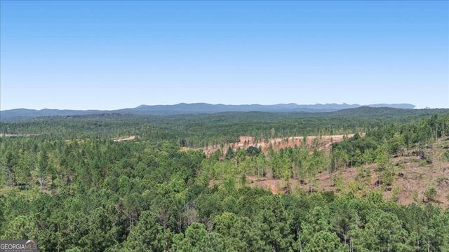 0 Lacey Springs Lane 64, Ellijay, GA 30540