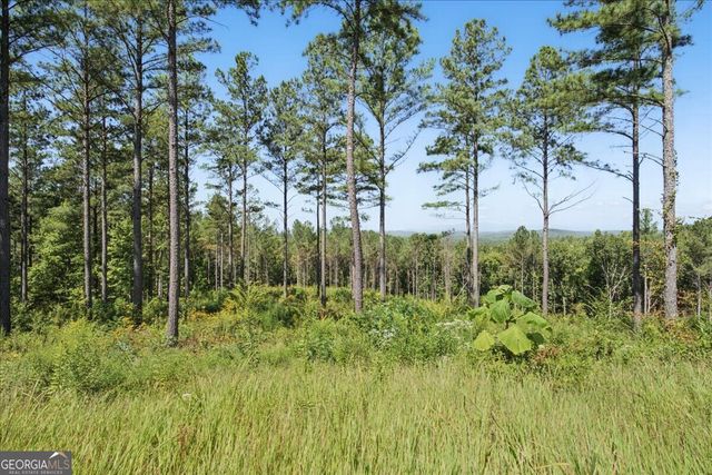 0 Lacey Springs Lane 64, Ellijay, GA 30540