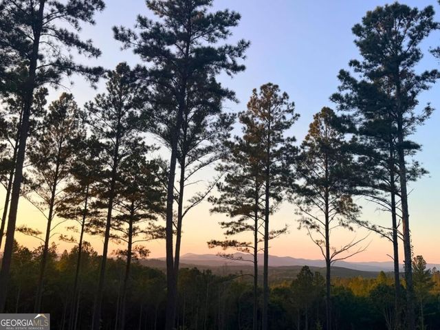 0 Lacey Springs Lane 64, Ellijay, GA 30540