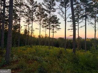 0 Lacey Springs Lane 64, Ellijay, GA 30540