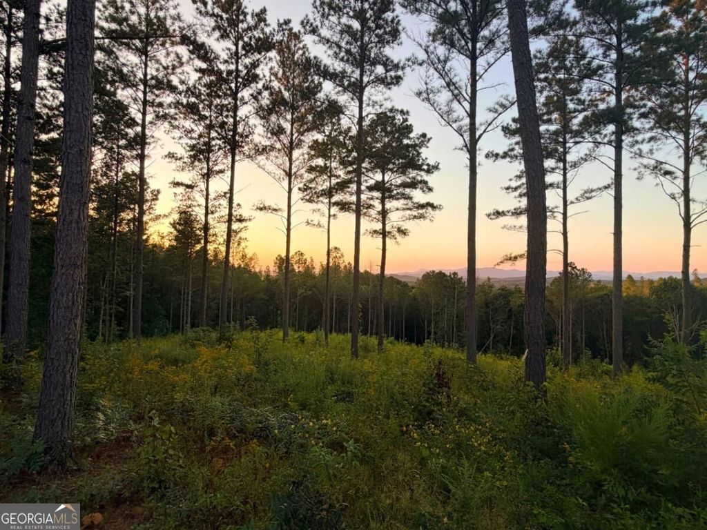 0 Lacey Springs Lane 64, Ellijay, GA 30540